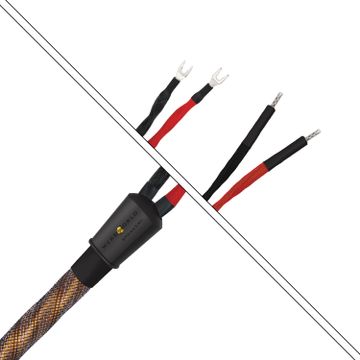 Wireworld Eclipse 10 ECS 2,5m --- 1