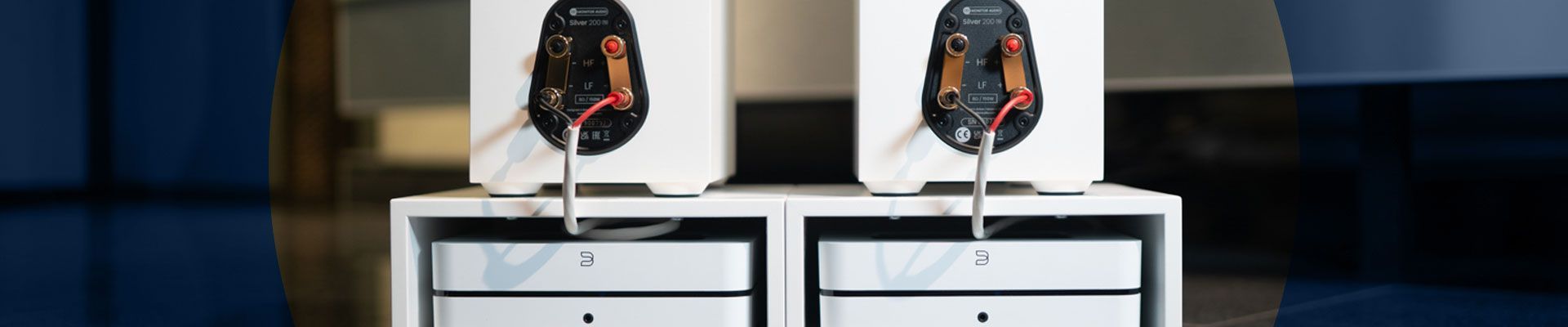 Wie man passive Lautsprecher in Smart Speaker verwandelt